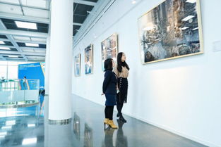华晨宝马艺术工厂 以工业美学赋能沈阳城市文化新篇章
